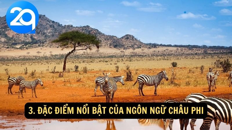 3. Đặc điểm nổi bật của ngôn ngữ châu Phi