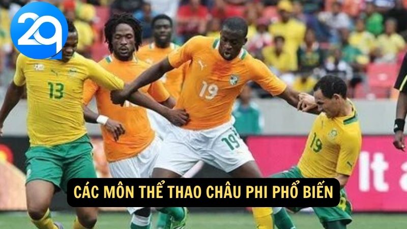 Các môn thể thao châu Phi phổ biến