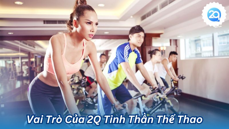 Vai Trò Của 2Q Tinh Thần Thể Thao