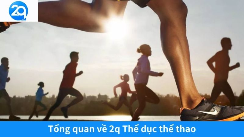 Tổng quan về 2q Thể dục thể thao