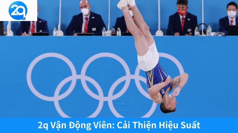 2q Vận Động Viên: Cải Thiện Hiệu Suất