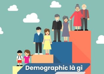 Demographic là gì?