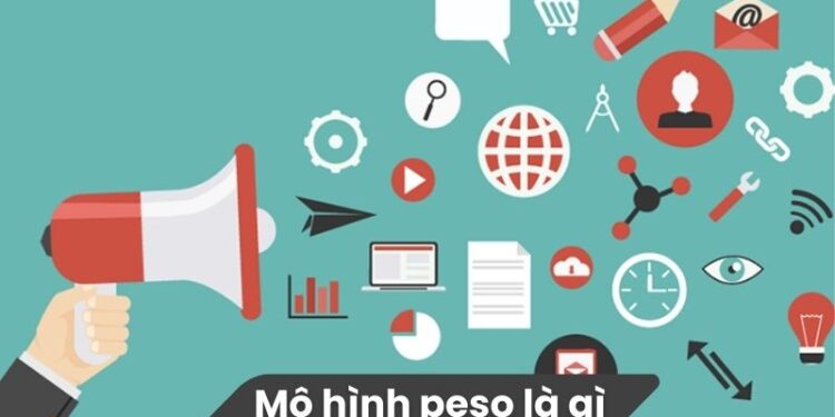 Mô hình PESO là gì? 1 Mô hình PESO là gì?