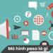 Mô hình PESO là gì? 3 Mô hình PESO là gì?