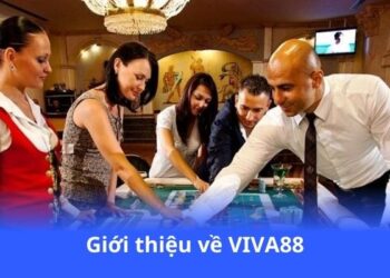 gioi-thieu-ve-viva88